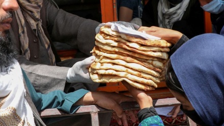  هشدار برنامه جهانی غذا درباره بحران غذایی در افغانستان 