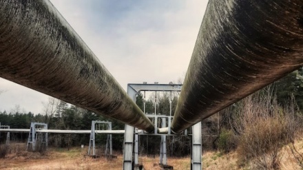 露石油大手ロスネフチ社長、「欧州諸国が自殺中」