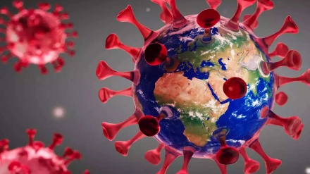 全球27猴痘非流行国家通报780起确诊病例