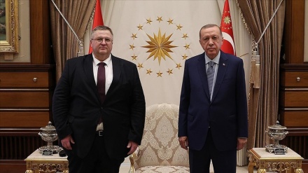 Erdoğan ile Rusya Başbakan Yardımcısı Overçuk biraraya geldi