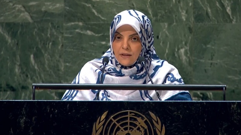 Zahra Ershadi, Deputi Duta Besar dan Wakil Tetap Iran untuk PBB