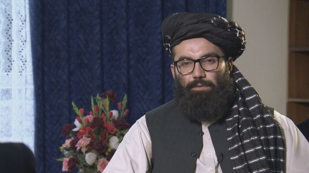 ادعای مقام طالبان: شبکه حقانی وجود خارجی ندارد