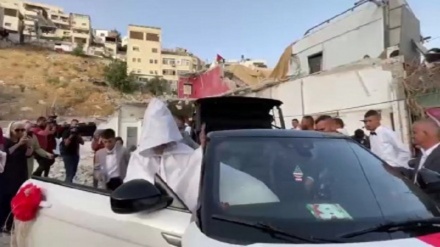 Viron bıə kəonədə Fələstınıjon izdivoc kardey