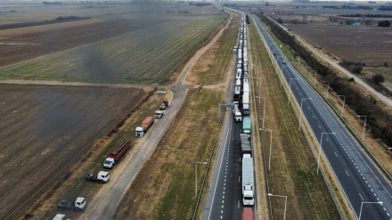  Argentine trucker protest slashes grains delivery, threatening exports and milling 