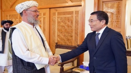 دیدار مولوی عبدالسلام حنفی با سفیر ژاپن در کابل