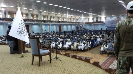 نشست علمای دین در کابل با صدور قطعنامه پایان یافت