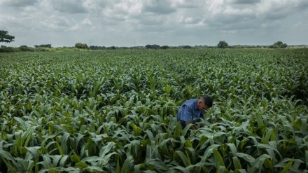  Venezuela provides Iran with 1 million hectares of farmland 