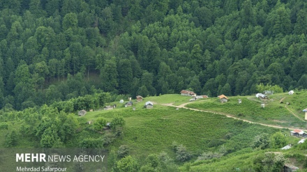 Oləsəblangah:Masal-Toləşədə Vəhışt