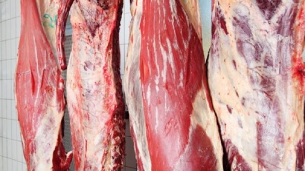 فروش گوشت گاو در شهر جلال آباد ممنوع شد