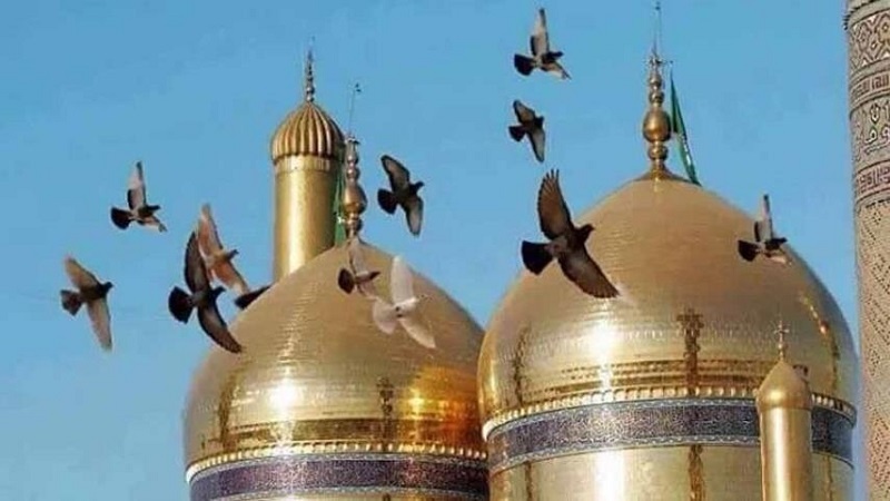 تاریخ پاڼه 