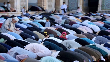 عکس‌هایی از برگزاری نماز عید قربان در شهرهای مختلف افغانستان