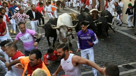 スペインの牛追い祭が３年ぶり開催