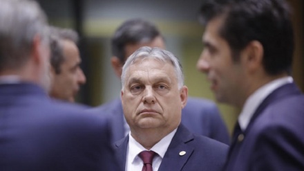 Accademia ungherese contro Orban, 'le razze non esistono'