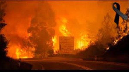 Incendi: il Portogallo prolunga lo stato d'emergenza