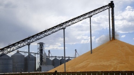 Shemben kapanonet e grurit në portin e Bejrutit