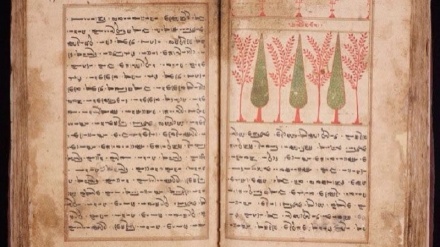 کتابونه د علم باغونه (۲۶)