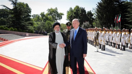 土耳其总统抵达德黑兰
