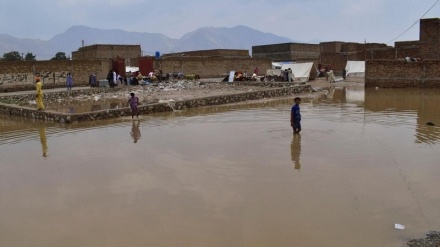 جان باختن ۳۱۰ نفر بر اثر باران‌های موسمی در پاکستان