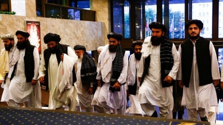 اظهارات تازه خلیل زاد در مورد طالبان