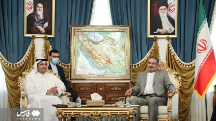  Any alliance with Israel threatens regional stability, security: Shamkhani 