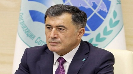 Владимир Норов: Толибон ҳаракати Тошкент учрашувида қатнашади