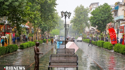 Rəştədə tovostoni voş