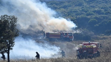Ondata di caldo in Europa, bruciano foresta nel sud Francia
