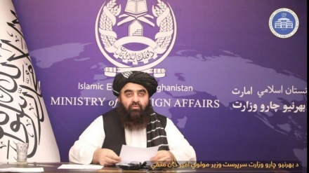 نړیواله ټولنه دې انساني مسئلې له سیاسی مسئلوجلاکړي