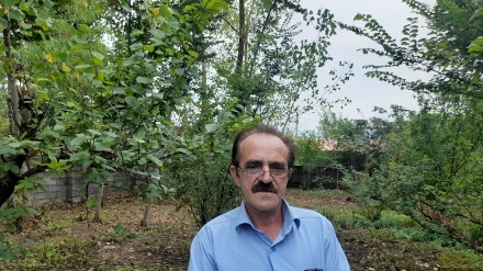 Tolış şəhrstani Tuləru həmzıvonə məddah cənab Şıkari bə dıl ənıştə nido diyə kən