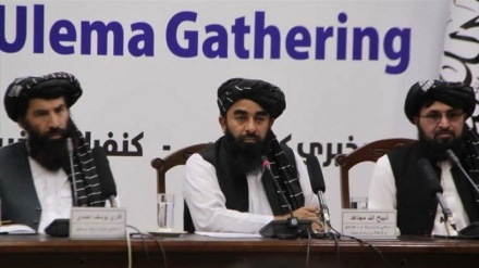 واکنش به نشست سه روزه علمای طرف دار طالبان در کابل