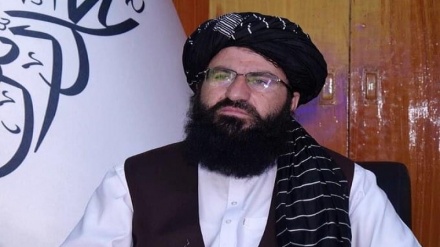 مقام طالبان، بسته شدن فیس بوک تلویزیون ملی افغانستان را تایید کرد