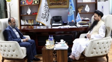 معاون سفیر ایران: با افزایش بارش ها، طالبان حقابه ایران را تامین کند