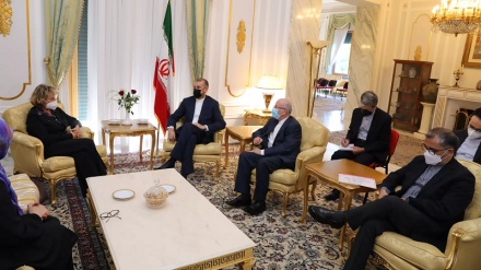 Iran Dukung Solusi Politik untuk Selesaikan Krisis Ukraina 