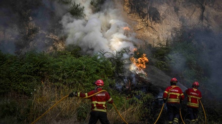 Vala e të nxehtit përvëlon Evropën