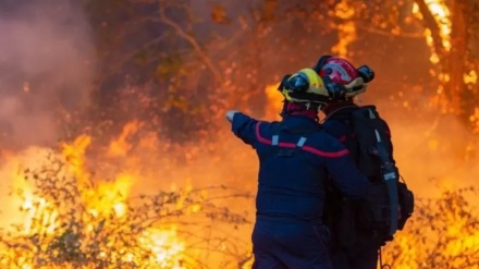 यूरोप के जंगलों में फैलती जा रही है आग, ब्रिटेन में पारा पहली बार 40 डिग्री के पार