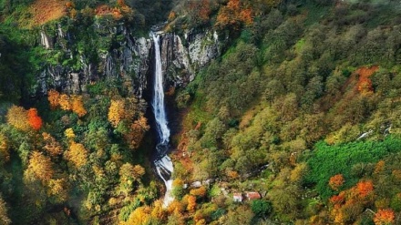 Tolışə merdi qamə sədo çəmə xalği dıli sədo