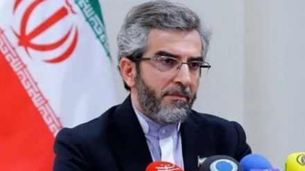  باقری کنی : ایران در مسیر مذاکرات رفع تحریم‌ها بر مواضع خود تاکید دارد