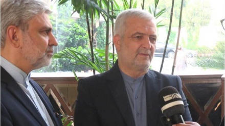 Каземи Коми: формирование инклюзивного правительства — выход из нынешней ситуации в Афганистане