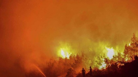 Around 700 firefighters with aircraft battle blaze in southern France