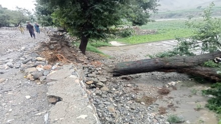 ریزش سقف یک منزل در ولایت ننگرهار هفت کشته و زخمی برجای گذاشت