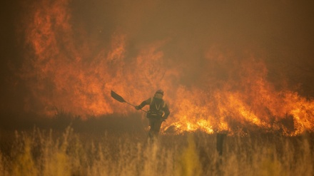  Scorching heat wave sparks wildfires in Europe 