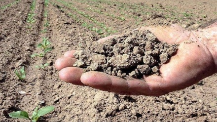Siccità in Italia, 3 miliardi di danni all'agricoltura