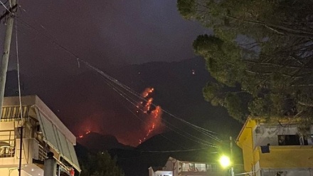 Prej 3 ditësh Mali i Çikës në flakë, mbi 100 forca në terren