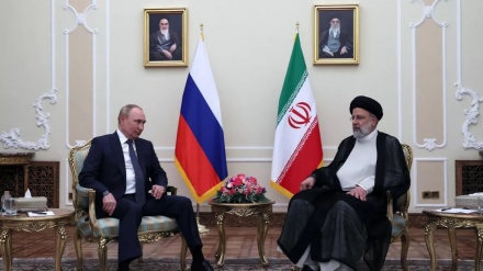 دیدار روسای جمهوری ایران و روسیه در تهران