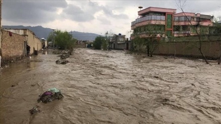 سیلاب در ارزگان؛ ۲۴ نفر جان باختند