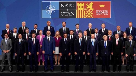 NATO, domani ok ingresso Finlandia e Svezia 