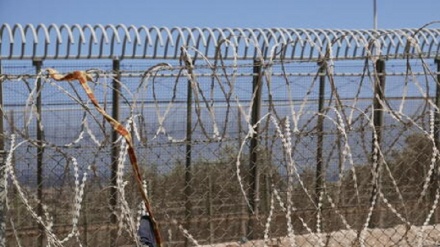 Migranti: Ue, 'a Melilla inaccettabile violenza, fare chiarezza'