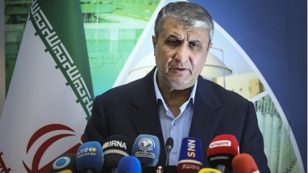 رئیس سازمان انرژی اتمی ایران: دوربین‌ها فراپادمانی فعلا روشن نمی‌شوند