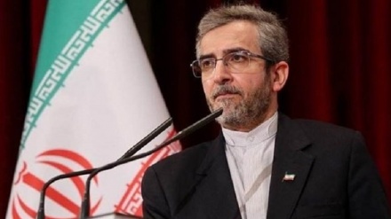 باقری کنی : ایده‌هایی برای جمع‌بندی مذاکرات داریم