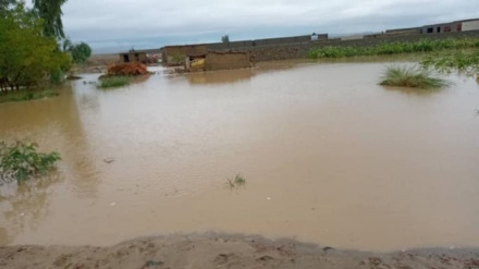 جان باختن 13 نفر بر اثر سیلاب های اخیر در افغانستان 